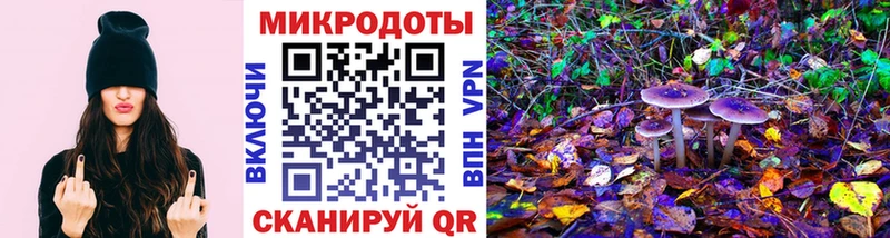 mega маркетплейс Новоуральск Галлюциногенные грибы Cubensis