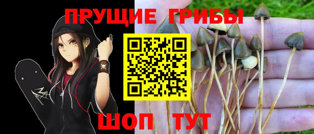 Псилоцибиновые грибы мухоморы  Вход с VPN  Псилоцибиновые грибы прущие грибы  Новоуральск 
